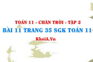 Bài 11 trang 35 Toán 11 Tập 2 Chân trời sáng tạo